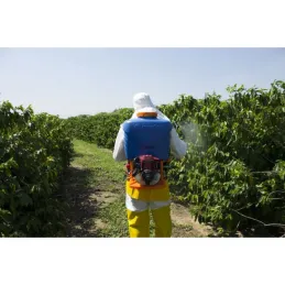 Pulverizador agricola motorizada Jacto 20L PJM-20 a gasolina Honda GX-25T Jacto-Pulverizador agricola motorizada Jacto 20L PJM-2