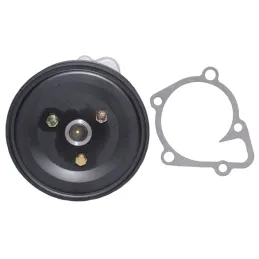 Bomba Agua Hyundai Santa Fe Sonata Tucson Kia Carens Cerato Lotze Optima NPW npw-Bomba Agua Hyundai Santa Fe Sonata Tucson Kia C