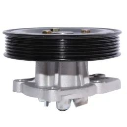 Bomba Agua Hyundai Santa Fe Sonata Tucson Kia Carens Cerato Lotze Optima NPW npw-Bomba Agua Hyundai Santa Fe Sonata Tucson Kia C