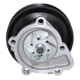 Bomba Agua Hyundai Santa Fe Sonata Tucson Kia Carens Cerato Lotze Optima NPW