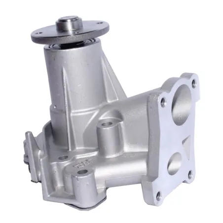 Bomba Agua Hyundai H-1 H100 Starex Terracan Kia K2700 Mitsubishi L200 Pajero STP