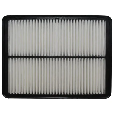 Filtro Aire 300x225x35mm Hyundai Santa Fe Kia Sorento 2400 G4KE STP 20754