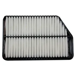 Filtro Aire 256x163x51mm Hyundai Creta Elantra i30 Sonata Tucson Kia Cerato Seltos Sportage Mando