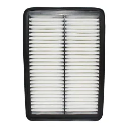 Filtro Aire 264x189x52mm Hyundai H-1 Solati G4KG D4BH D4CB STP 20158