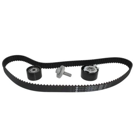 Kit Distribucion Renault Clio Duster Logan Megane Scenic Stepway Symbol K4M Correa 132D 5pza INA