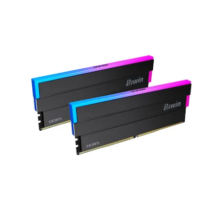  Memoria DDR5 UDIMM Biwin Black Opal DW100 RGB, 64GB (2x32GB) PC5-48000, CL30, 1.35V 4530.508475 Memoria DDR5 UDIMM Biwin Black 