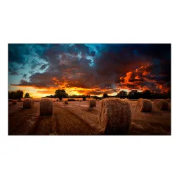  Pantalla de Video de Pared con Bisel Ultraestrecho SAMSUNG 55" Serie VMB-U 3791.525424 Pantalla de Video de Pared con Bisel Ult