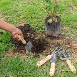 Juego de 4 Herramientas para Jardin 6 Pulgadas, Transplantador, cuchara, bieldo, cultivador, JJ-4 15030 Truper Truper-Juego de 4