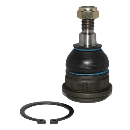 Rotula Inferior Hyundai Accent Creta Elantra i20 i30 Veloster Venue Verna Cerato K3 Rio Seltos Soluto Sonet Vitara DERIZQ Wurtex