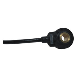 Sensor Golpeteo Knock Chery Tiggo 1.6 SQR481FA 2008-2014 OEM
