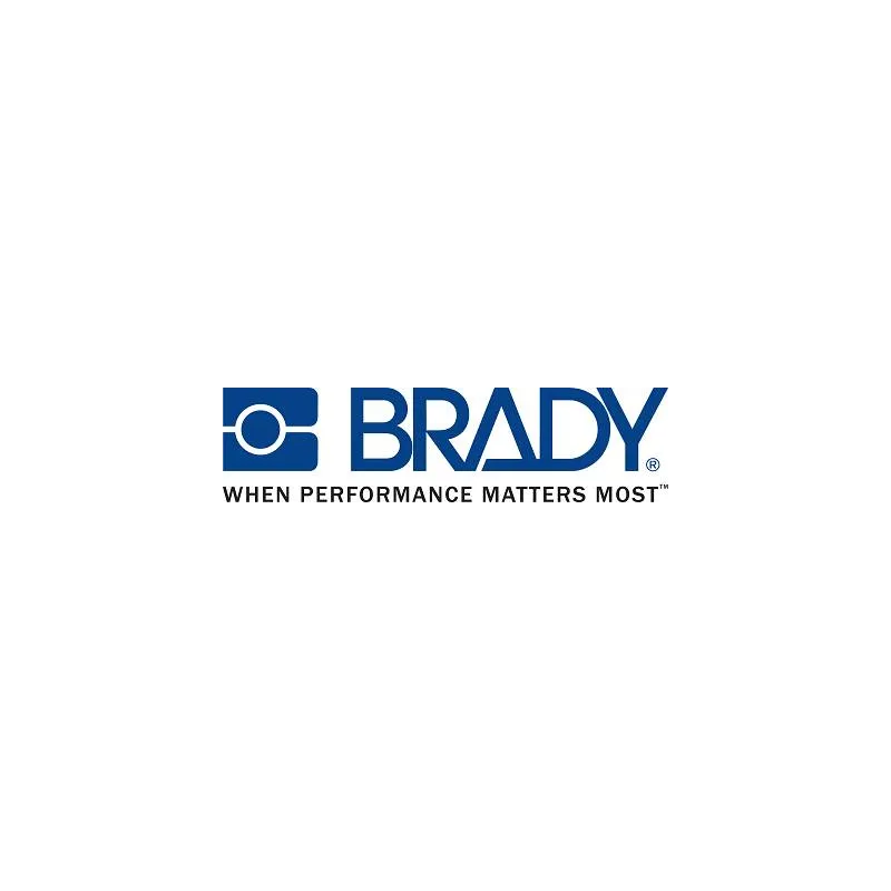  Impresora de Etiquetas Portatil Brady BMP21-PLUS, Pantalla LCD Transferencia térmica Inteligente Resistente Robusto 594.915254 
