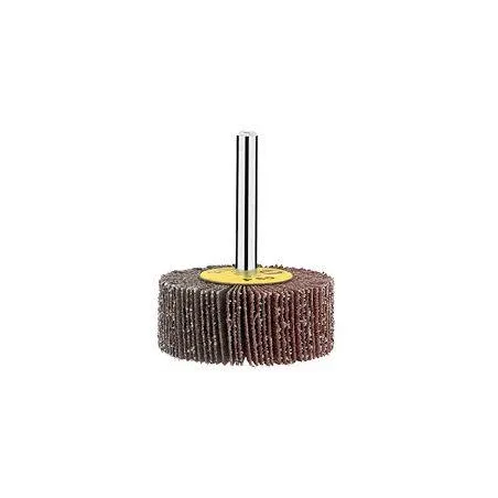 Discos Flap Discs Laminado 50mm G60 Rueda Cilindrica, Bosch 1609200287 Bosch-Disco Flap Bosch 50mm Grano 60 1609200287 -1609.200