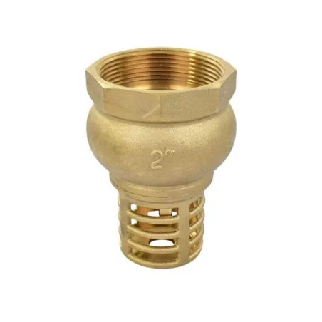  Valvula Check de Pie 2" Yarden YD0115 72.033898 Valvula Check de Pie 2" Yarden YD0115  YD0115 1 yarden