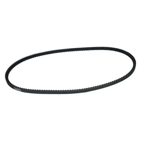  Fajas Correas Trapezoidal 10x975mm V Dentada Bosch 1987947611 12.288136 Fajas Correas Trapezoidal 10x975mm V Dentada Bosch 1987