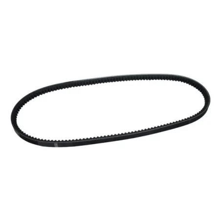  Fajas Correas Trapezoidal 10x875mm V Dentada Bosch 1987947626 10.59322 Fajas Correas Trapezoidal 10x875mm V Dentada Bosch 19879