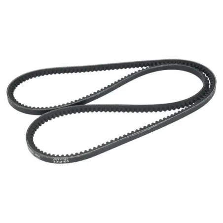  Fajas Correas Trapezoidal 10x1375mm V Dentada Bosch 1987947796 23.728814 Fajas Correas Trapezoidal 10x1375mm V Dentada Bosch 19